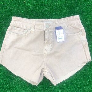 Corduroy Short Cutoffs Cut Offs Shorts